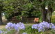 Warreen Farmstay Rural Accommodation - thumb 3