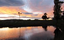 Warreen Farmstay Rural Accommodation - Northern Rivers Accommodation 5