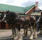 Araluen Valley Hotel - Araluen - Northern Rivers Accommodation
