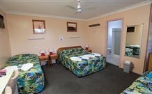 Civic Motel Grafton - Grafton - Northern Rivers Accommodation 2