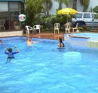 Golden Chain Palm Court Motor Inn - Port Macquarie - Northern Rivers Accommodation