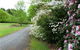 Laurel Hill Forest Lodge - Tumbarumba - thumb 1