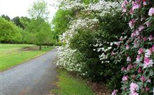 Laurel Hill Forest Lodge - Tumbarumba - Northern Rivers Accommodation 1