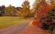 Laurel Hill Forest Lodge - Tumbarumba - thumb 3