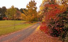 Laurel Hill Forest Lodge - Tumbarumba - Northern Rivers Accommodation 3