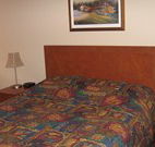 Lion Rampant Hotel - Mittagong - Northern Rivers Accommodation