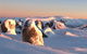 Matterhorn Ski Lodge - Perisher Valley - thumb 2
