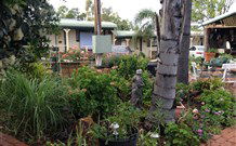 Oasis Motel - Northern Rivers Accommodation 1