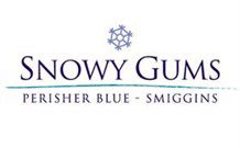 Snowy Gums Chalet - Smiggin Holes - Northern Rivers Accommodation 2