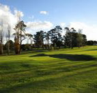 Tenterfield Golf Club and Fairways Lodge - Tenterfield - Northern Rivers Accommodation