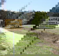 Tuena Camping and Picnic Ground - Northern Rivers Accommodation