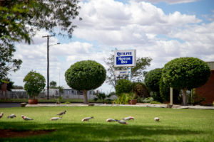 Quilpie Motor Inn - Northern Rivers Accommodation 4