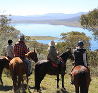 Reynella Homestead and Horseback Rides - Northern Rivers Accommodation