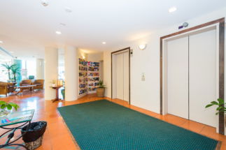 The Emerald Surfers Paradise - Northern Rivers Accommodation 1