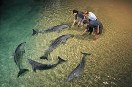 Moreton Island QLD Northern Rivers Accommodation