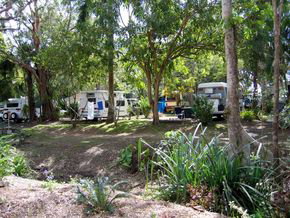 Big 4 Whitsundays Tropical Eco Resort (formerly Flametree) - Northern Rivers Accommodation 2