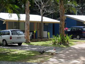 Big 4 Whitsundays Tropical Eco Resort (formerly Flametree) - Northern Rivers Accommodation 3