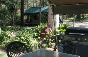 Tamborine Mountain Caravan & Camping - Northern Rivers Accommodation 2