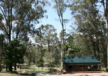 Tamborine Mountain Caravan & Camping - Northern Rivers Accommodation 4