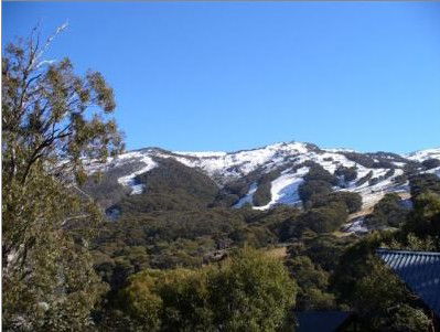 Alpenhorn Lodge - Northern Rivers Accommodation 1