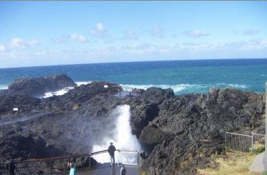 Kiama Ocean View Motor Inn - Northern Rivers Accommodation 1