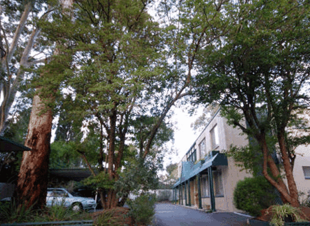 Glenside SA Northern Rivers Accommodation