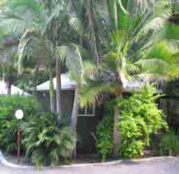 Nambour Rainforest Holiday Village - Northern Rivers Accommodation 1