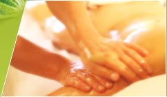 A Country Health Retreat - Northern Rivers Accommodation 1
