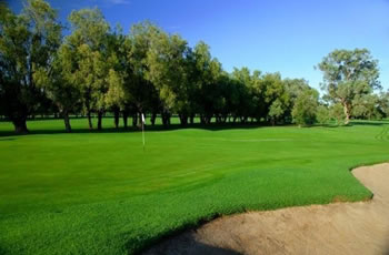 Golf Links Motel - Northern Rivers Accommodation 7