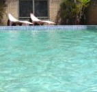Toreador Motel - Coffs Harbour - Northern Rivers Accommodation