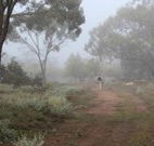 Heritage Park Bathurst - Northern Rivers Accommodation