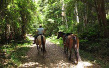 Malibells Country Cottages - Northern Rivers Accommodation 1