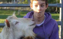 Mayfield Vineyard Cottages - Northern Rivers Accommodation 1