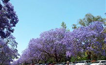 Andavine House Bed And Breakfast - Northern Rivers Accommodation 5