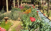 Belmore Manor Bed And Breakfast - Northern Rivers Accommodation 1