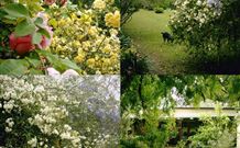 Chauvel Park B And B - Northern Rivers Accommodation 1