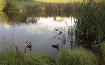 East Bowral NSW Northern Rivers Accommodation