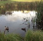 Harewood House Bed and Breakfast - Northern Rivers Accommodation