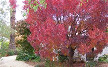 Langford House B&B - Northern Rivers Accommodation 4
