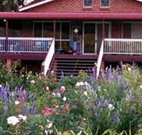Rose Patch Bed and Breakfast - Northern Rivers Accommodation