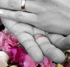Salisbury Lodges and Araluen Restaurant - Northern Rivers Accommodation