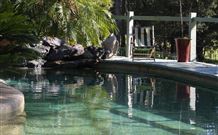 Telegraph Retreat - - Northern Rivers Accommodation 3