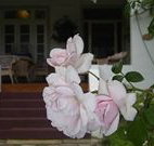 White House Heritage Guesthouse - Northern Rivers Accommodation