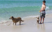 A Paradise Bungalow Waterfront - Northern Rivers Accommodation 0