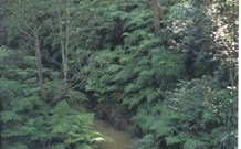 Eco Huts - Jervis Bay Getaways - Northern Rivers Accommodation 1