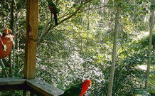 Eco Huts - Jervis Bay Getaways - Northern Rivers Accommodation 2