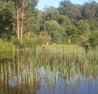 Fosterton Lodge Retreat - Northern Rivers Accommodation