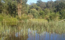 Fosterton Lodge Retreat - Northern Rivers Accommodation 0