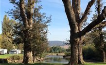 Sand Cottage - Northern Rivers Accommodation 1