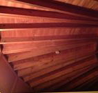 Sea Cottage - Northern Rivers Accommodation